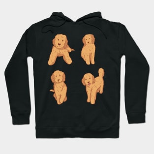 Cute Golden doodle pack Hoodie